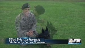 AFN Kunsan Web - MWD