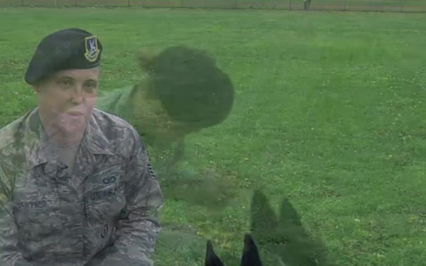 AFN Kunsan Web - MWD