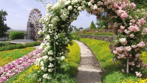 Yamaguchi Flower Land