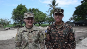 390th Engineers