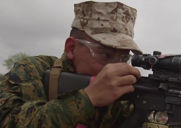 The Transformation - Week 7