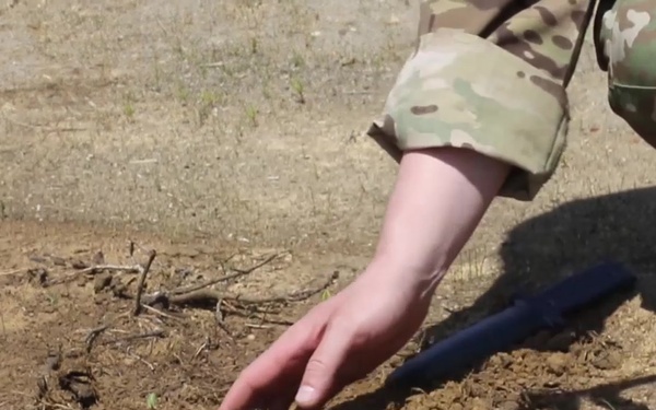 Combined Arms Exercise Provides Realistic Training to Combat Support Elements