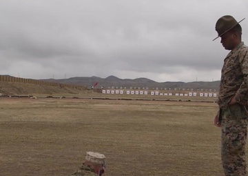 The Transformation - Week 8