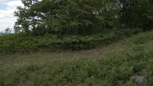 Trembleau Mountain