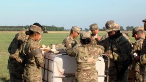 Army’s Birthday Celebration during the Saber Strike 2018