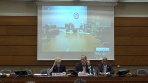 U.S. Side Event 3.1: The U.S. Nuclear Posture Review