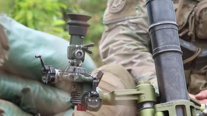 Battle Group Poland Begins Multinational Live Fire Exercise (B-Roll)