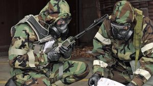 100 years of Army Chemical Corps (without L3)