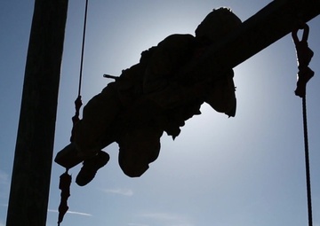 The Transformation - Week 10