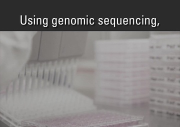 Bats Help Solve the Marburg Mystery