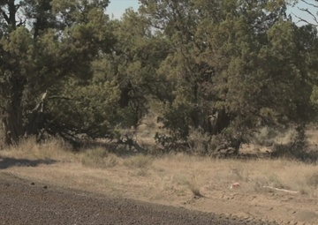 224 Engineer Company Improves BLM roads