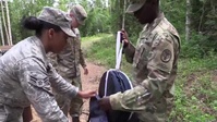 Alaska Mosquito Testing