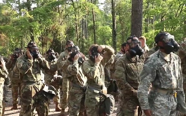 Becoming a Drill Sergeant