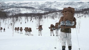Norwegian Soldiers exercise ground taktics