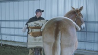 SOF Horsemanship
