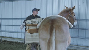 SOF Horsemanship