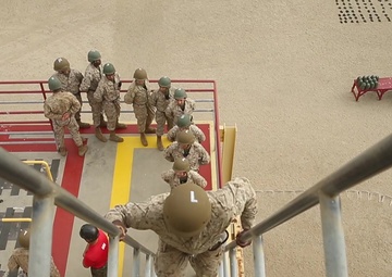 The Transformation - Week 11