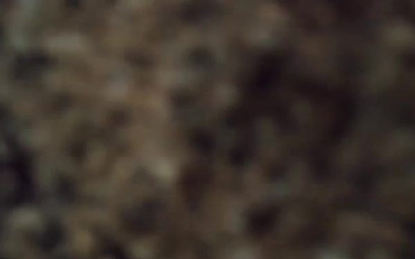 AFN Kunsan Sights and Sounds - Mt. Daedunsan