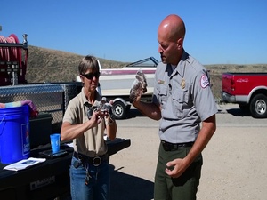 Lucky Peak Dam's Kestrel Nest Box Program