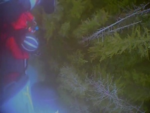 Coast Guard assists National Park Service with plane crash rescue in Crillon Lake, Alaska