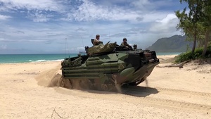 USMC AAV training at Bellows