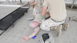 404th Civil Affairs Battalion Functional Specialty Team Teach Italian Partners CLS