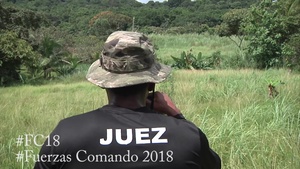 Francotiradores en Acecho