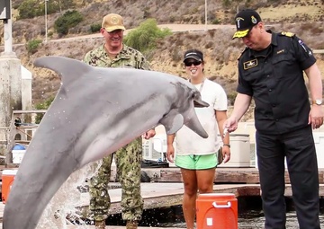 RIMPAC 2018 Weekly Wrap Up - July 28