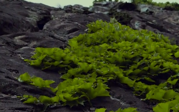 AFN Kunsan Sights and Sounds - Mt. Daedunsan