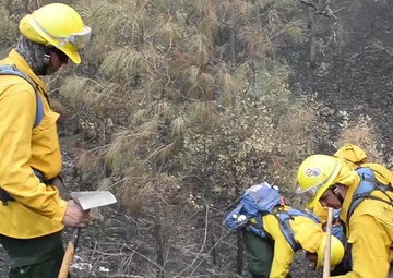 B-roll of Soldiers From The California National Guard’s Task Force 144 Perform Type II Hand Crew Duties