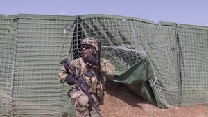 3rd Squadron 2CR - Exercise Noble Partner 18.