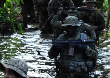 Jungle Warfare 2018 Exercise 'Killer Punch'