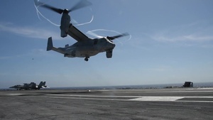 Osprey B-Roll