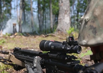 NS18: India Company, 3/25 Live-Fire with AAVs