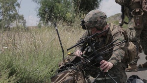 Joint Service Exercise