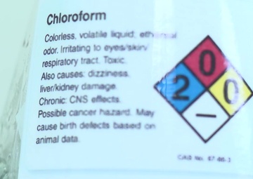 Egress and Survival Branch BROLL