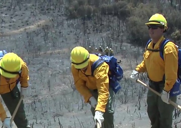 Mendocino Training Exercise