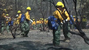 Mendocino Training Exercise