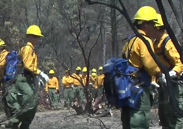 Mendocino Training Exercise