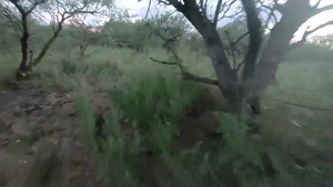 Operation Guardian Support’s Rapid Aerial Transport  Improves Border Security