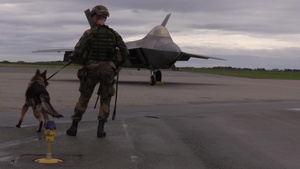 F-22 Raptors and Norwegian F-35s Land in Norway