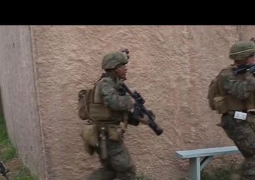 Sustainment Training Exercise Hawaii