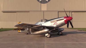 WWII Aircraft P-47 and P-51