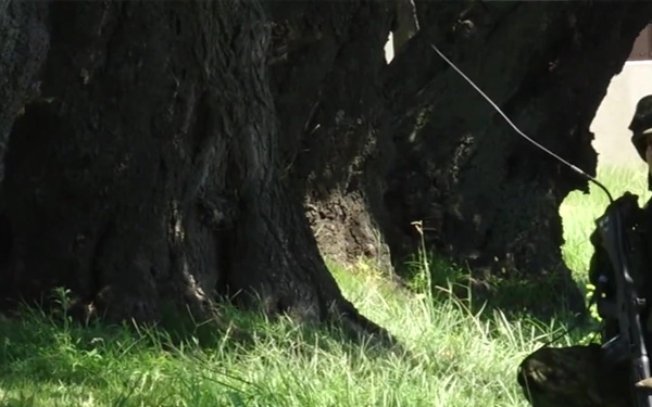 FSE 2018 Update Day 3