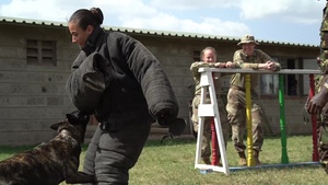 U.S. servicemembers and Kenya Defense Force conduct military working dog information exchange
