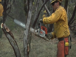TF Rugged fight Mendocino Complex Fires B-Roll Package