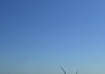 Medal of Honor Flyover