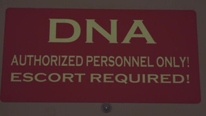 Desert Vision August 2018