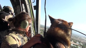 Tucson Sector BORSTAR Canine Team