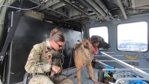 Tucson Sector BORSTAR Canine Team